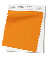 PANTONE 15-1150.jpg